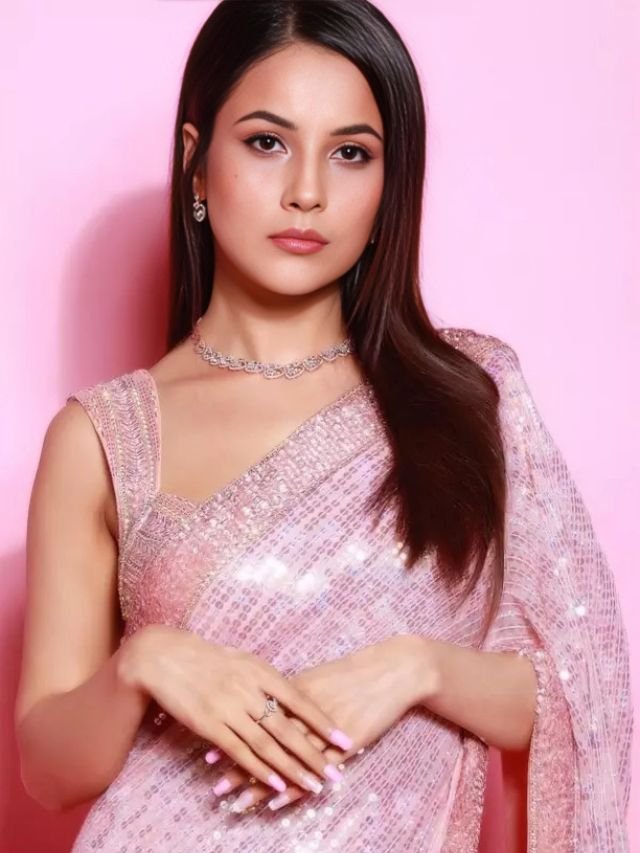 Shehnaz Gills Pink Sequin Work Saree Shehnaz Gill’s Pink Sequin Work Saree