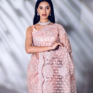 Attractive Lucknowi Embroidery Net Saree