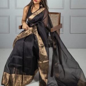 Banarasi Kora Organza Saree With Dyeable Border Design