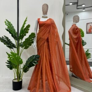 Beautiful Designer Saree with Blouse