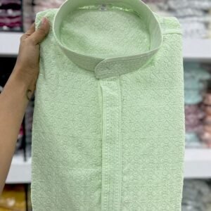 Beautiful Rayon Chikan Work Pista Kurta Pyjama