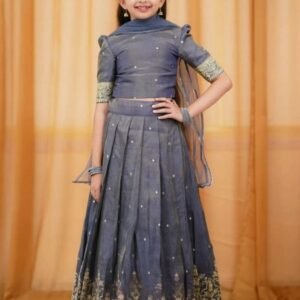 Beautiful Sequins Embroidery Work Grey Lehenga