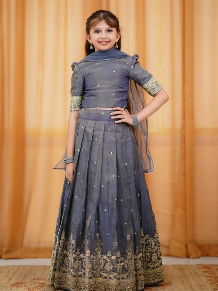 beautiful sequins embroidery w 1734951687 Beautiful Sequins Embroidery Work Grey Lehenga