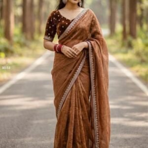 Brown Classic Festive Wear Saree with Elegant Border