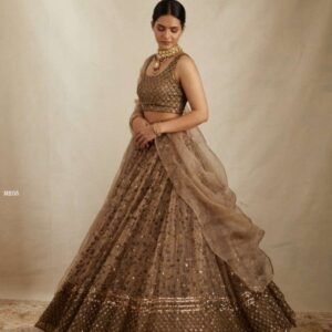 Brown Designer Sequin Work Lehenga Set