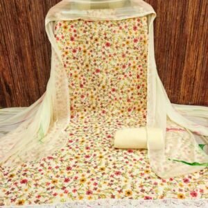Designer Georgatte with Schiffly work digital print dress material
