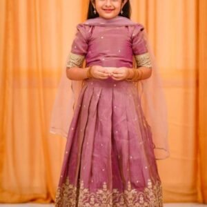 Designer princess Pink Lehenga Choli
