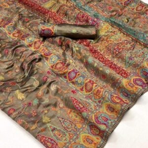 Elegant Kashmiri Pashmina Organza With Handloom Weaving saree