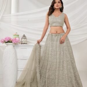 Embroidery Work Off White Soft Net Embroidery Lehenga Choli