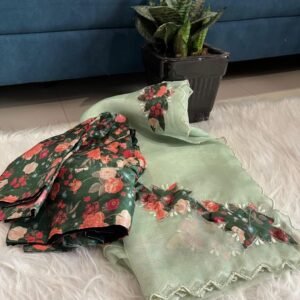 Exclusive Pista Handwork Crystal Organza Saree