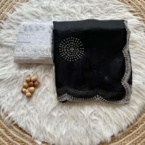 Fancy Black Handwork Jimmy Choo Saree With Blouse