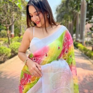 Fancy Printed Organza Weaving Border Saree