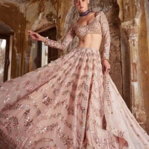 Georgette Peach Lehenga set