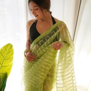 Green Devika Gota work Pure Organza Saree