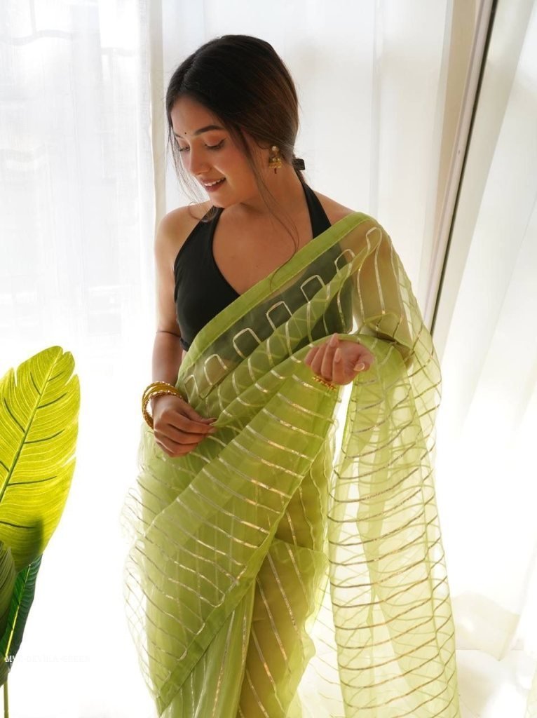 green devika gota work pure or 1715247873 Green Devika Gota work Pure Organza Saree