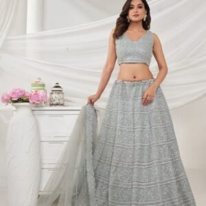 Grey Soft Net Embroidery Work Lehenga Choli