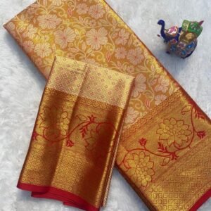 Handloom weaving nyloan zari kanjivaram silk saree
