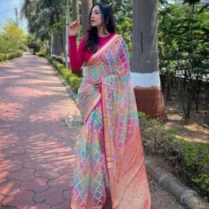 Kaira Pure Organza Brasso Silk Saree