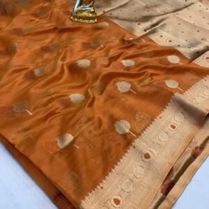 Ladies Beautiful Zari Thread Work Organza Silk Saree