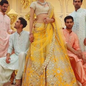 Launching Mono Satin Silk Real Mirror work Lehenga Choli