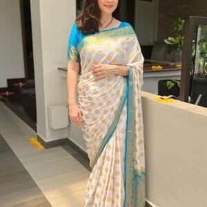 Lavanya soft Kanjivaram Jacquard Silk Saree