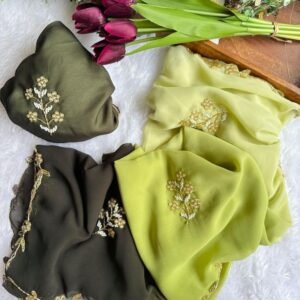 Light Green Exclusive Duel Shade Hand Work Georgette Saree
