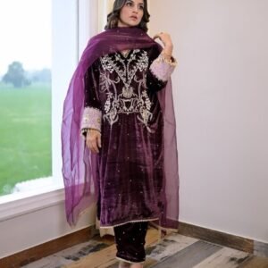 Luxurious Velvet Winter Elegance Designer Suit Set