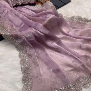 Most Beautiful Burburry Sequins Work Silk onion saree
