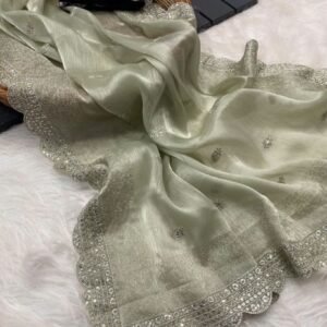 Most Beautiful Burburry Sequins Work Silk Green saree