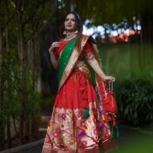 Most Elegant Parrot Work Paithani Lehenga Choli