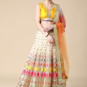 Multi Colored Butterfly Net Mirror Work Lehenga Choli