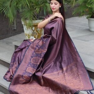 Navy Blue Gorgeous Zari Work Bnarasi Soft Silk Saree with Blouse