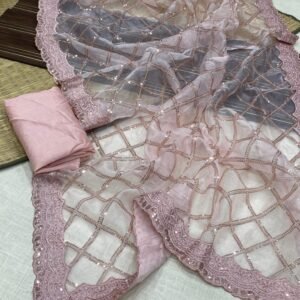 New Organza Saree With Banglori Silk Blouse