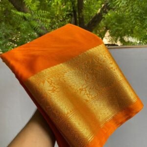 Orange Organza Kora Banarasi Saree
