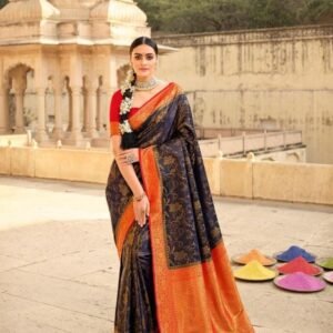 Pankh Brand Blue Exclusive Banarasi Katan Silk Saree
