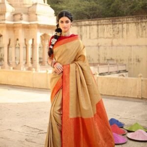 Pankh Brand Cream Exclusive Banarasi Katan Silk Saree