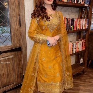 Party Wear Ethnic Outfit for Women With Sequins