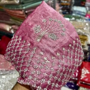 Peach Designer Dana Hand Work Jimmy Choo Saree