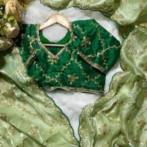Pista Beautiful Embroidery Work Pure Soft Jimmy Cho Silk Sarees