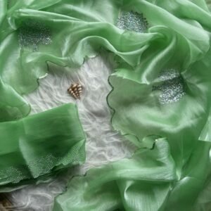 Premium Pista Green Jimmy Choo Simmari Tissue Saree