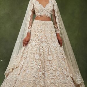 Presenting Wedding Wear Beautiful Butterfly Net Beige Lehenga