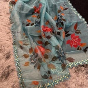 Rama Party Wear Handwork Pure Organza Saree