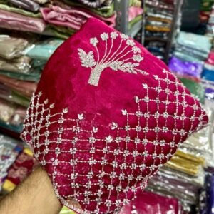 Rani Designer Dana Hand Work Jimmy Choo Saree