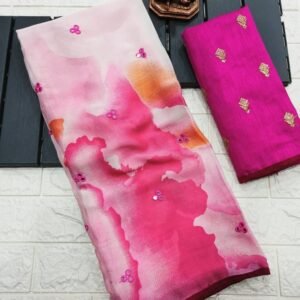 Rani Shibori Printed Chiffon Saree With Mirror Work
