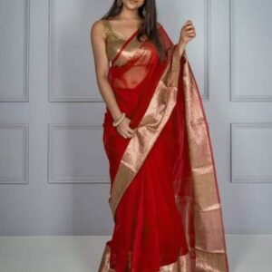 Red Banarasi Organza Kora Saree Dyeable Skirt Border
