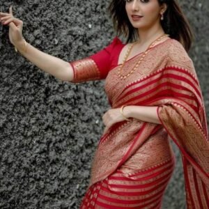 Red Banarasi Soft Silk Saree with Zari Work