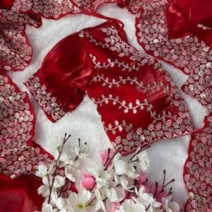 Red Sequence Zari Work Jimmy Chhoo Satin Saree