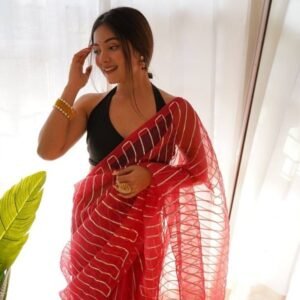 Red Devika Gota work Pure Organza Saree