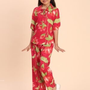 Beautiful Exclusive Raani Co Ord Set for Girls