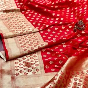 Red Vani Butta Pure Banarasi Silk Saree